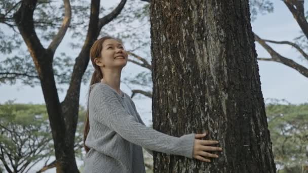 Junge Glückliche Asiatische Frau Umarmt Baum Mit Zärtlichkeit Ökologie Ein — Stockvideo
