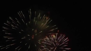 İnanılmaz havai fişek görüntüleri 4K çözünürlük ve döngü özelliği. Şeffaflık mat içerir, artı havai fişekleri görüntülerinize eklemek için ekleme veya ekran karıştırma kipini kullanabilirsiniz. DVD menüleri ve hareketler için mükemmel