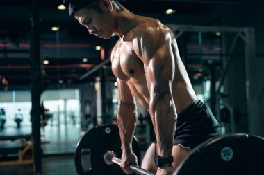 Sportif vücut geliştirici ya da halterci spor salonunda halterle ağırlık kaldırma egzersizi yapıyor. Spor salonunda spor yapmak..