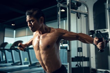 Sportif Asyalı adam spor salonunda kol ve omuz kasları için egzersiz yapıyor. Spor salonunda spor yapmak..