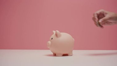 Pembe bir domuz kumbarasına baht bozuk para atmak üzere. Mali ve İş Güvenliği Konsepti.