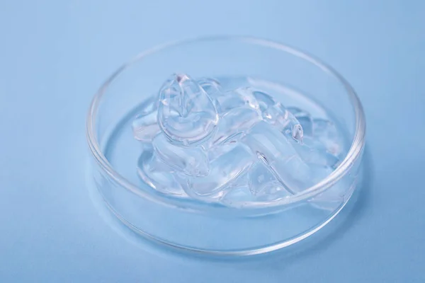 ペトリ皿の泡構造を持つナイアシナミド血清のクローズアップ写真 化粧品バナー コピースペース — ストック写真