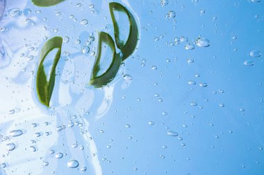 Kozmetik jeline baloncuklu aloe vera dilimleri. Kozmetik arka plan..