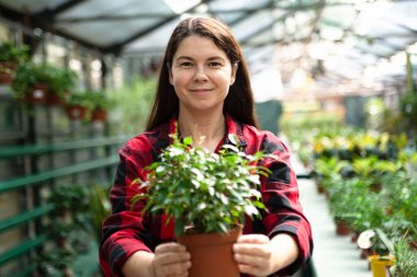 Güler yüzlü kadın, saksıda incir ağacıyla el ele tutuşuyor..