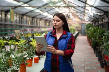 Serada çalışan bir kadın, bitkileri tabletle kontrol ediyor..