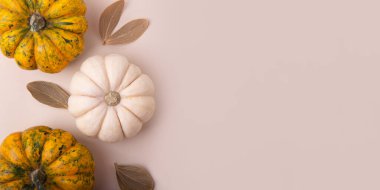 Yatay pastel arkaplanda farklı kabaklar var. Negatif alanlı büyük afiş..