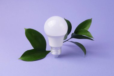 Taze yeşil yapraklı öncü ampul, yeşil enerji kavramı.