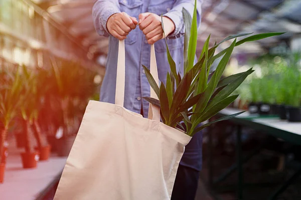 Anonymous woman holding eco friendly reusable bag in hands with yucca in it.Greenhouse and sun light on background.