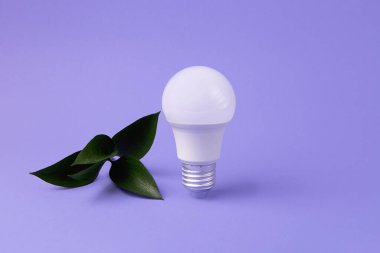 Taze yeşil yapraklı öncü ampul, yeşil enerji kavramı.