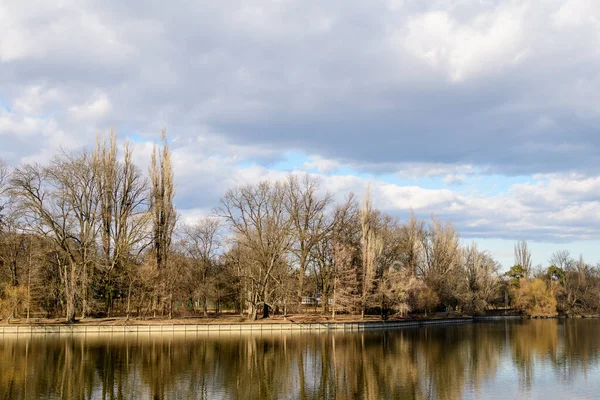 Paysage Avec Grands Arbres Anciens Près Lac Herastrau Dans Parc — Photo
