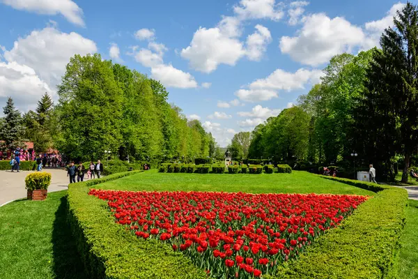 Targoviste, Romanya, 1 Mayıs 2022: Beyaz bulutlar ve mavi gökyüzü ile güneşli bir bahar gününde Chindia Park 'ta (Parcul Chindia) canlı yeşil ağaçlar ve çimlerle kaplı manzara