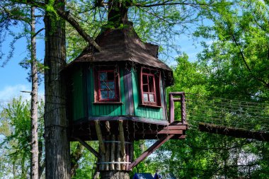 Güneşli bir bahar gününde ağaçta terk edilmiş eski ahşap bir ev.