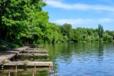 Romanya 'nın başkenti Bükreş' te güneşli bir bahar gününde Herastrau Gölü 'ndeki beyaz tekne ve Kral I. Michael Parkı' ndaki (Herastrau) büyük yeşil ağaçlarla manzara