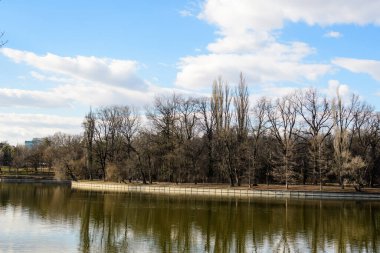 Romanya 'nın Bükreş kentinde, güneşli bir kış gününde Kral I. Michael Parkı' ndaki Herastrau Gölü yakınlarındaki büyük yaşlı ağaçların manzarası