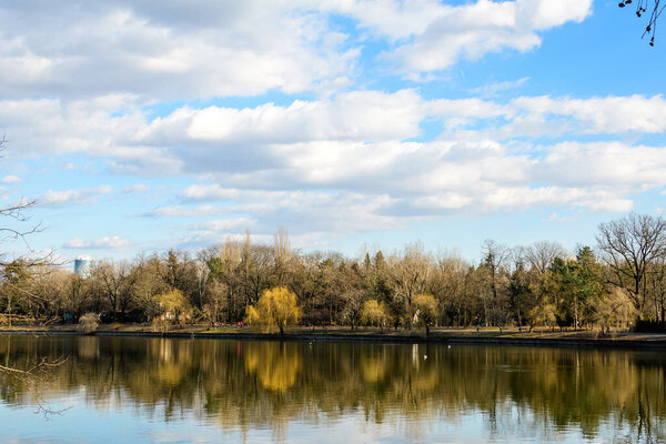 Пейзаж с большими старыми деревьями возле озера Ирастрау в парке короля Михаила I (Ирастрау) в Бухаресте, Румыния, в солнечный зимний день