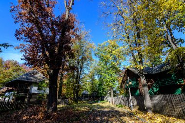 Romanya 'nın geleneksel evi, güneşli bir sonbahar gününde Romanya' nın Herastrau Park kentindeki Köy Müzesi 'nde yeşil, sarı, turuncu ve kahverengi yapraklı çok sayıda eski ağaçla çevrili.