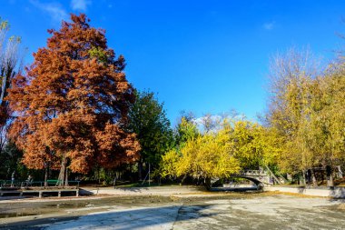 Romanya 'nın Bükreş kenti Gradina Cismigiu' da (Cismigiu Garden) güneşli bir sonbahar gününde, büyük ağaçlarda canlı yeşil, sarı, turuncu ve kahverengi yapraklarla manzara