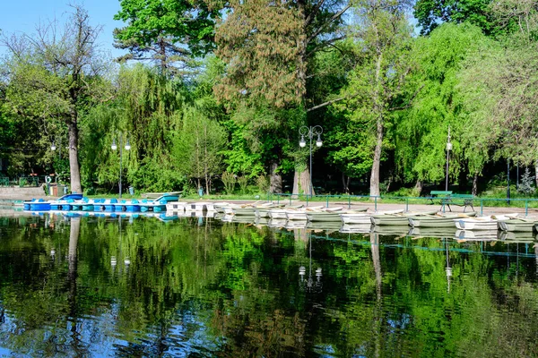 stock image Vivid green landscape with old large linden trees and small boats near the lake in Cismigiu Garden (Gradina Cismigiu), a public park in the city center of Bucharest, Romania, in a sunny spring day