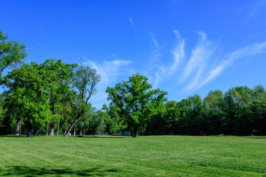 Romanya 'nın Bükreş kenti yakınlarındaki güneşli bir bahar gününde Mogosoaia Park' taki (Parcul Mogosoaia) eski yeşil ağaçların manzarası
