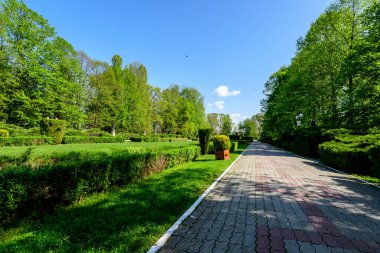 Romanya 'nın Targoviste şehrinden, beyaz bulutlar ve mavi gökyüzü ile güneşli bir bahar gününde, Chindia Park' taki (Parcul Chindia) canlı yeşil ağaçlar ve çimlerle kaplı manzara