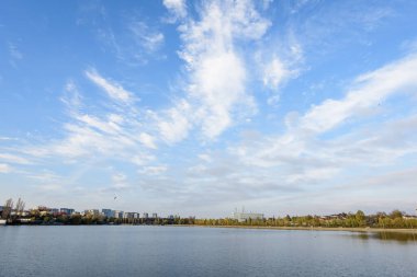 Romanya 'nın Bükreş kentinde, Linden Park' taki (Parcul Tei) ağaçlı manzara, güneşli bir sonbahar gününde beyaz bulutlar ve mavi gökyüzü