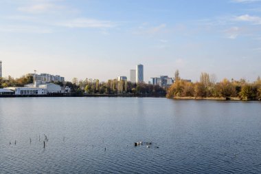 Romanya 'nın Bükreş kentinde, Linden Park' taki (Parcul Tei) ağaçlı manzara, güneşli bir sonbahar gününde beyaz bulutlar ve mavi gökyüzü