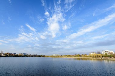 Romanya 'nın Bükreş kentinde, Linden Park' taki (Parcul Tei) ağaçlı manzara, güneşli bir sonbahar gününde beyaz bulutlar ve mavi gökyüzü