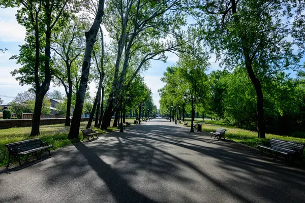 Romanya 'nın Bükreş kentine yakın güneşli bir bahar gününde, eski yeşil ağaçlar ve Mogosoaia Parkı' ndaki (Parcul Mogosoaia) gri geçitli manzara