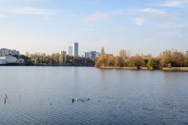 Romanya 'nın Bükreş kentinde, Linden Park' taki (Parcul Tei) ağaçlı manzara, güneşli bir sonbahar gününde beyaz bulutlar ve mavi gökyüzü