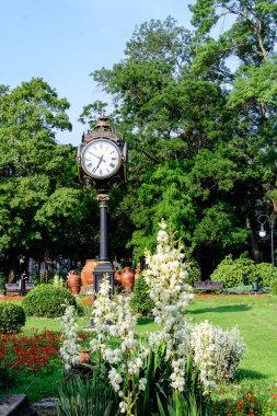 Romanya 'nın Bükreş kentindeki Cismigiu Garden' da güneşli bir yaz gününde canlı kırmızı çiçekler, yeşil ağaçlar ve çimlerle ana giriş