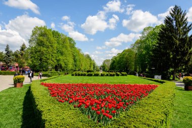 Targoviste, Romanya, 1 Mayıs 2022: Beyaz bulutlar ve mavi gökyüzü ile güneşli bir bahar gününde Chindia Park 'ta (Parcul Chindia) canlı yeşil ağaçlar ve çimlerle kaplı manzara