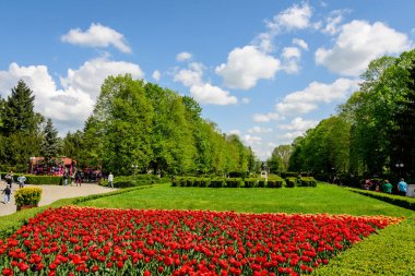 Targoviste, Romanya, 1 Mayıs 2022: Beyaz bulutlar ve mavi gökyüzü ile güneşli bir bahar gününde Chindia Park 'ta (Parcul Chindia) canlı yeşil ağaçlar ve çimlerle kaplı manzara