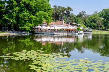 Craiova, Romanya, 28 Mayıs 2022: Dolj ilçesindeki Nicolae Romaescu parkında göl, suluzambaklar ve güzel güneşli bir bahar gününde mavi gökyüzü ve beyaz bulutlarla dolu büyük yeşil treyler ile canlı manzara