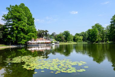 Craiova, Romanya, 28 Mayıs 2022: Dolj ilçesindeki Nicolae Romaescu parkında göl, suluzambaklar ve güzel güneşli bir bahar gününde mavi gökyüzü ve beyaz bulutlarla dolu büyük yeşil treyler ile canlı manzara