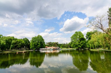 Craiova, Romanya, 28 Mayıs 2022: Dolj ilçesindeki Nicolae Romaescu parkında göl, suluzambaklar ve güzel güneşli bir bahar gününde mavi gökyüzü ve beyaz bulutlarla dolu büyük yeşil treyler ile canlı manzara