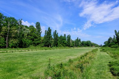 Romanya 'nın Bükreş kentindeki Kral I. Michael Parkı' nda (eski Herastrau) mavi gökyüzü ile güneşli bir bahar gününde, eski yeşil ağaçlar ve çayırların bulunduğu manzara