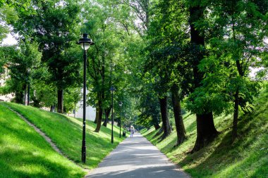 Romanya 'nın Transilvanya (Transilvanya) bölgesindeki Sibiu kentinin tarihi merkezinde, Citadel Parkı' nda (Parcul Cetatii) uzun bir ara sokak ve yeşil ağaçlar güneşli bir yaz gününde