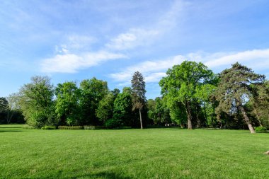 Romanya 'nın Bükreş kenti yakınlarındaki güneşli bir bahar gününde Mogosoaia Park' taki (Parcul Mogosoaia) eski yeşil ağaçların manzarası