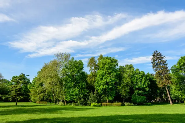 Romanya 'nın Bükreş kenti yakınlarındaki güneşli bir bahar gününde Mogosoaia Park' taki (Parcul Mogosoaia) eski yeşil ağaçların manzarası