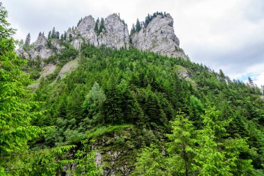 Romanya 'nın Bucegi Dağları' ndan (Muntii Bucegi) gelen doğal parktaki Zanoagei Gorges (Cheile Zanoagei) manzarası, güneşli bir yaz gününde beyaz bulutlarla dolu