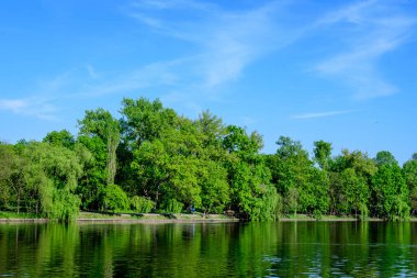Romanya 'nın başkenti Bükreş' te güneşli bir bahar gününde, Herastrau Gölü yakınlarındaki eski yeşil ağaçlar ve Kral I. Michael Park 'taki (eski Herastrau) büyük yeşil ağaçlarla manzara