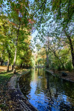Romanya 'nın başkenti Bükreş' teki Carol Park 'ta, güneşli bir sonbahar gününde, göl kenarındaki büyük yeşil ve sarı ağaçların bulunduğu manzara