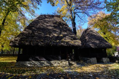 Romanya 'nın geleneksel evi, güneşli bir sonbahar gününde Romanya' nın Herastrau Park kentindeki Köy Müzesi 'nde yeşil, sarı, turuncu ve kahverengi yapraklı çok sayıda eski ağaçla çevrili.