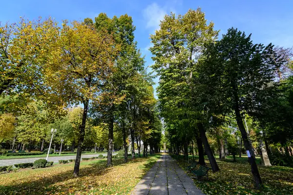 Romanya 'nın Bükreş kenti Parcul Carol' da (Carol Park) güneşli bir sonbahar gününde yeşil ve sarı eski büyük kestane ağaçları ve otlarla çevrili ara sokakla manzara