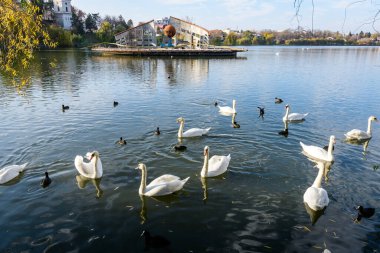Plumbuita Gölü 'nde (Lacul Plumbuita) ve Romanya' nın Bükreş kentinde, güneşli bir sonbahar gününde beyaz bulutlar ve mavi gökyüzü ile dekoratif fıskiyeli manzara