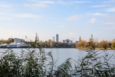 Romanya 'nın Bükreş kentinde, Linden Park' taki (Parcul Tei) ağaçlı manzara, güneşli bir sonbahar gününde beyaz bulutlar ve mavi gökyüzü