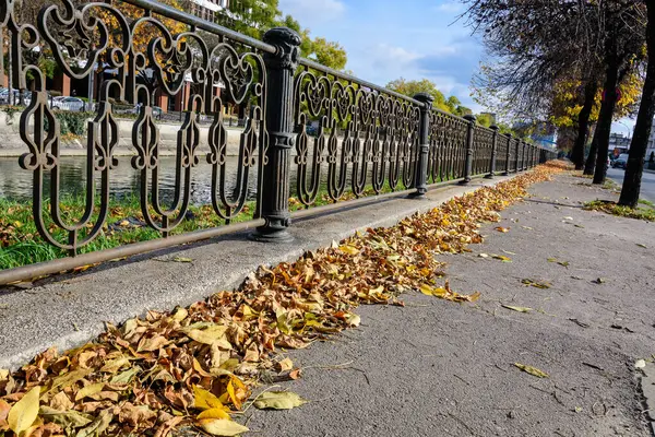Yellow, orange and brown leaves near an old black metallic fence on Dambovita river in Bucharest, Romania, in a sunny autumn day