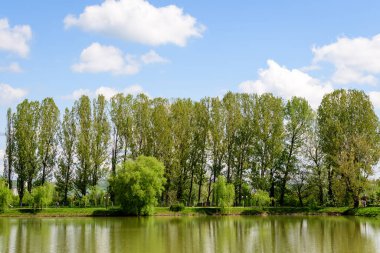Romanya 'nın Targoviste kentinde bulunan Chindiei Parkı' ndan (Parcul Chindiei) küçük bir göl, güneşli bir bahar gününde beyaz bulutlar ve mavi gökyüzü