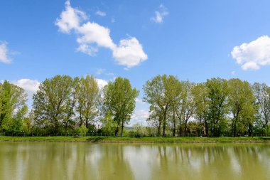 Romanya 'nın Targoviste kentinde bulunan Chindiei Parkı' ndan (Parcul Chindiei) küçük bir göl, güneşli bir bahar gününde beyaz bulutlar ve mavi gökyüzü