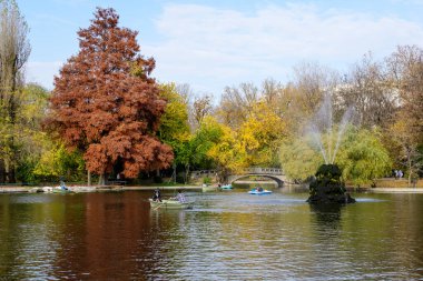 Bucharest, Romania, 6 November 2021: Vivid green landscape with old large linden trees and green leaves near the lake in Cismigiu Garden (Gradina Cismigiu), in the city center, in a sunny autumn day
